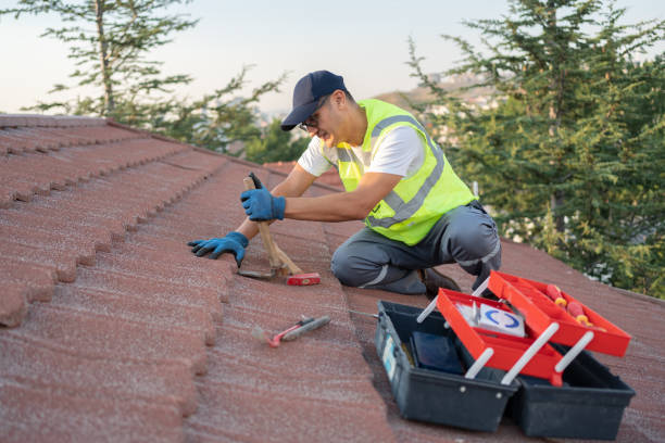 Best Roofing Contractor Near Me  in Vaiden, MS